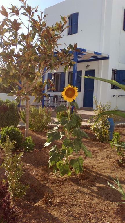 Ninemia Studios Serifos Island Exteriör bild